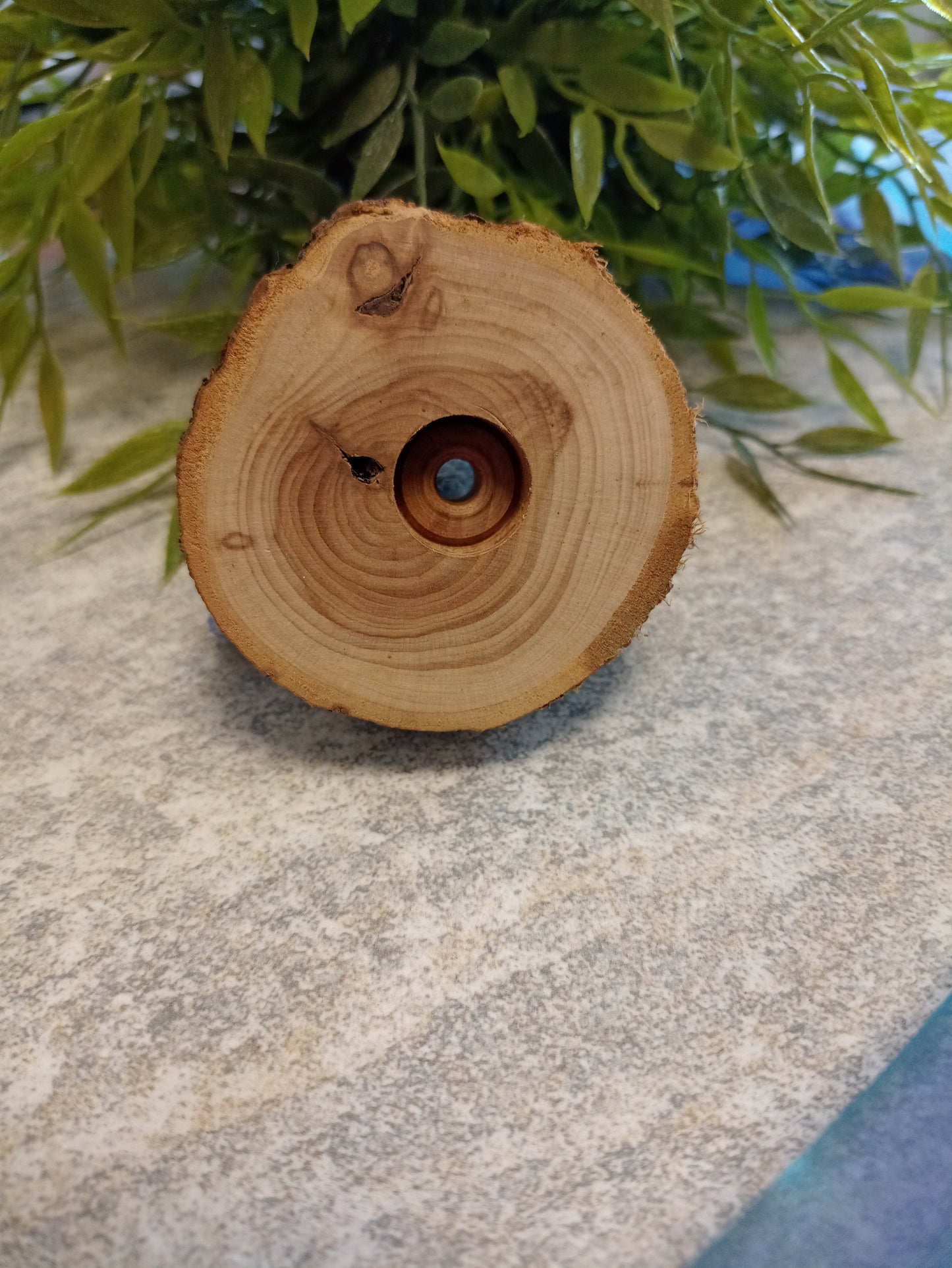 Kynttilänjalka