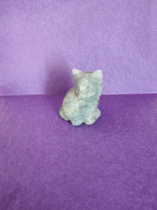 Kissa - Labradoriitti